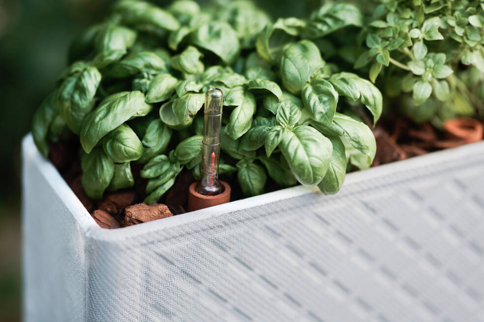 Eckige Pflanztöpfe für Ihren Garten Swisspearl